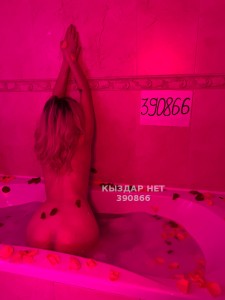 Проститутка Алматы Анкета №390866 Фотография №3064853