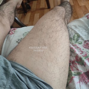 Жиголо Костаная Анкета №541829 Фотография №4061279