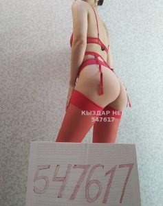 Проститутка Алматы Анкета №547617 Фотография №4113768